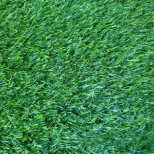 Thảm cỏ tấm nhân tạo 3cm