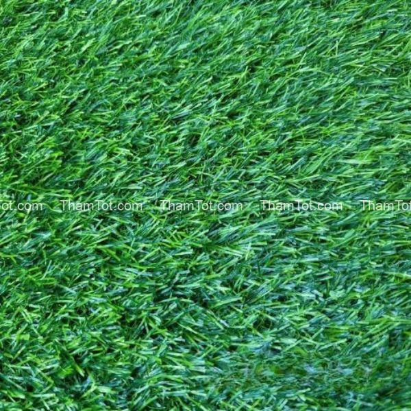 Thảm cỏ tấm nhân tạo 3cm