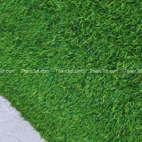 tham-co-tam-nhan-tao-3cm (2) Thảm cỏ tấm nhân tạo 3cm