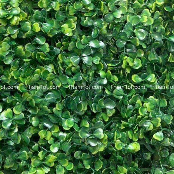 Thảm cỏ tấm nhân tạo chất lượng