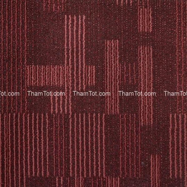 tham-tam-basic-vi-ba-vi (2)