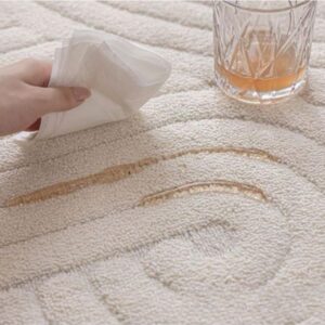 Thảm trải sàn phòng khách trượt nước màu be
