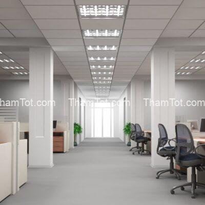 Thảm văn phòng tối giản với gam màu trung tính